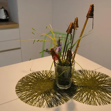 Apartma Na Trati Apartamento Izola